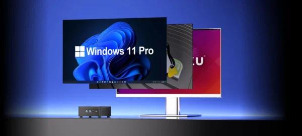 ｗＩＮ１１