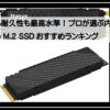 nvmeランキング