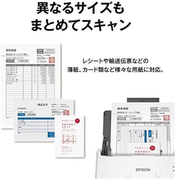 サイズ