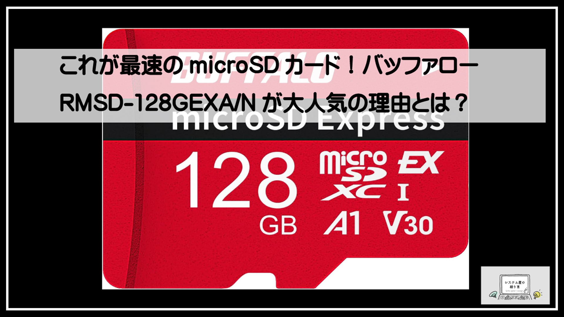 バッファローＳＤ