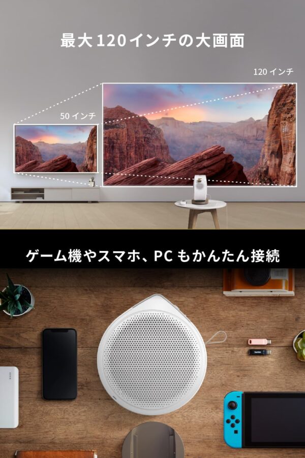 サイズ