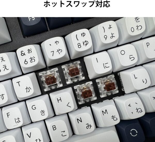 ホット