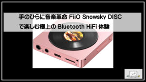 最終値下げ Fiio 最新 Audio Player  SKY 手のひらに音楽革命 FiiO Snowsky DISCで楽しむ極上のBluetooth HiFi体験