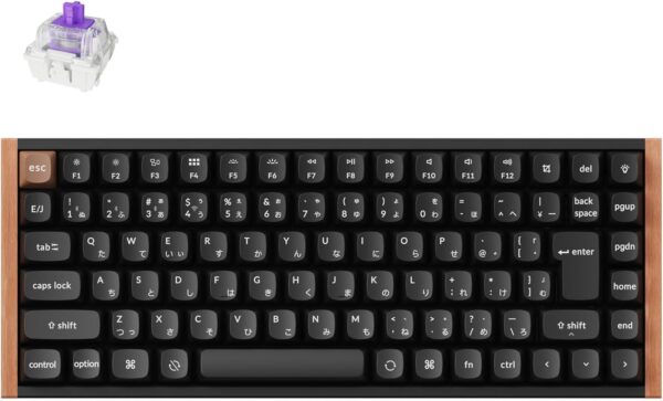 K2
