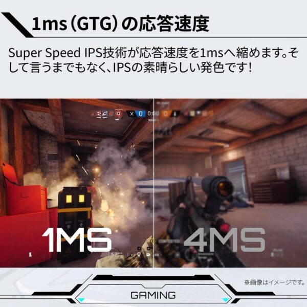 1MS