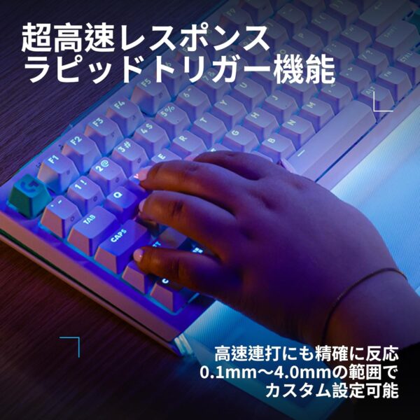 ラピッド