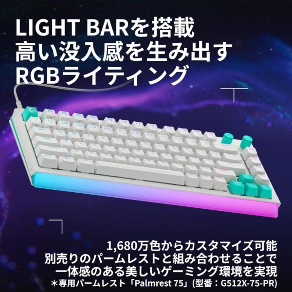 ライティング