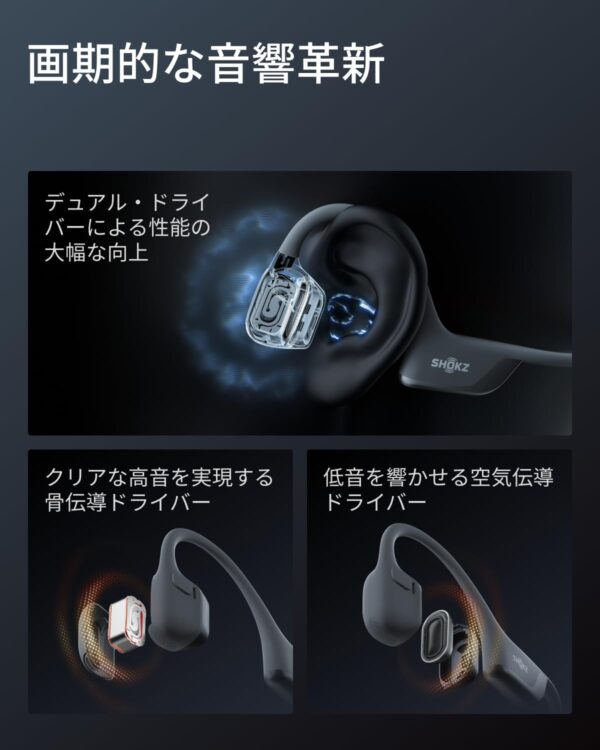 革命