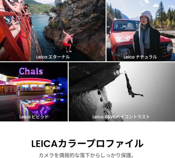 プロファイル