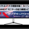 ジャパンネクストモニター