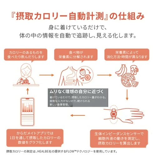 カロリー