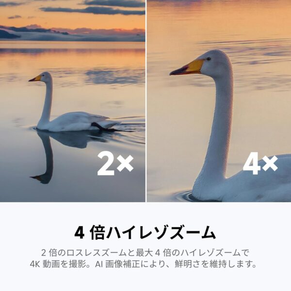 倍率